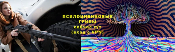 соль курить ск Елизово