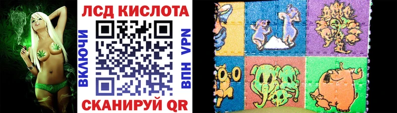 Купить закладки  Чадан  Марки NBOMe 1,8мг 