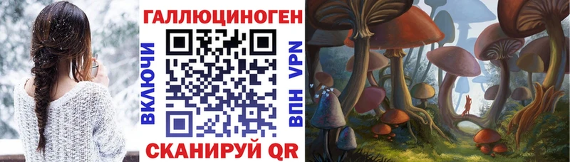 Купить  Чадан  Псилоцибиновые грибы ЛСД 